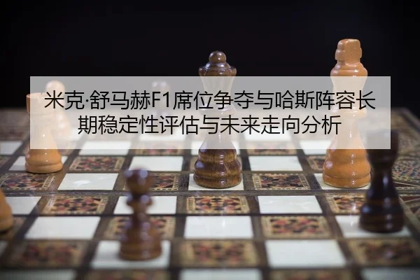 mi-ke-shu-ma-he-xi-wei-zheng-duo-yu-ha-si-zhen-rong-chang-qi-wen-ding-xing-ping-gu-yu-wei-lai-zou-xiang-fen-xi-2-924.jpg